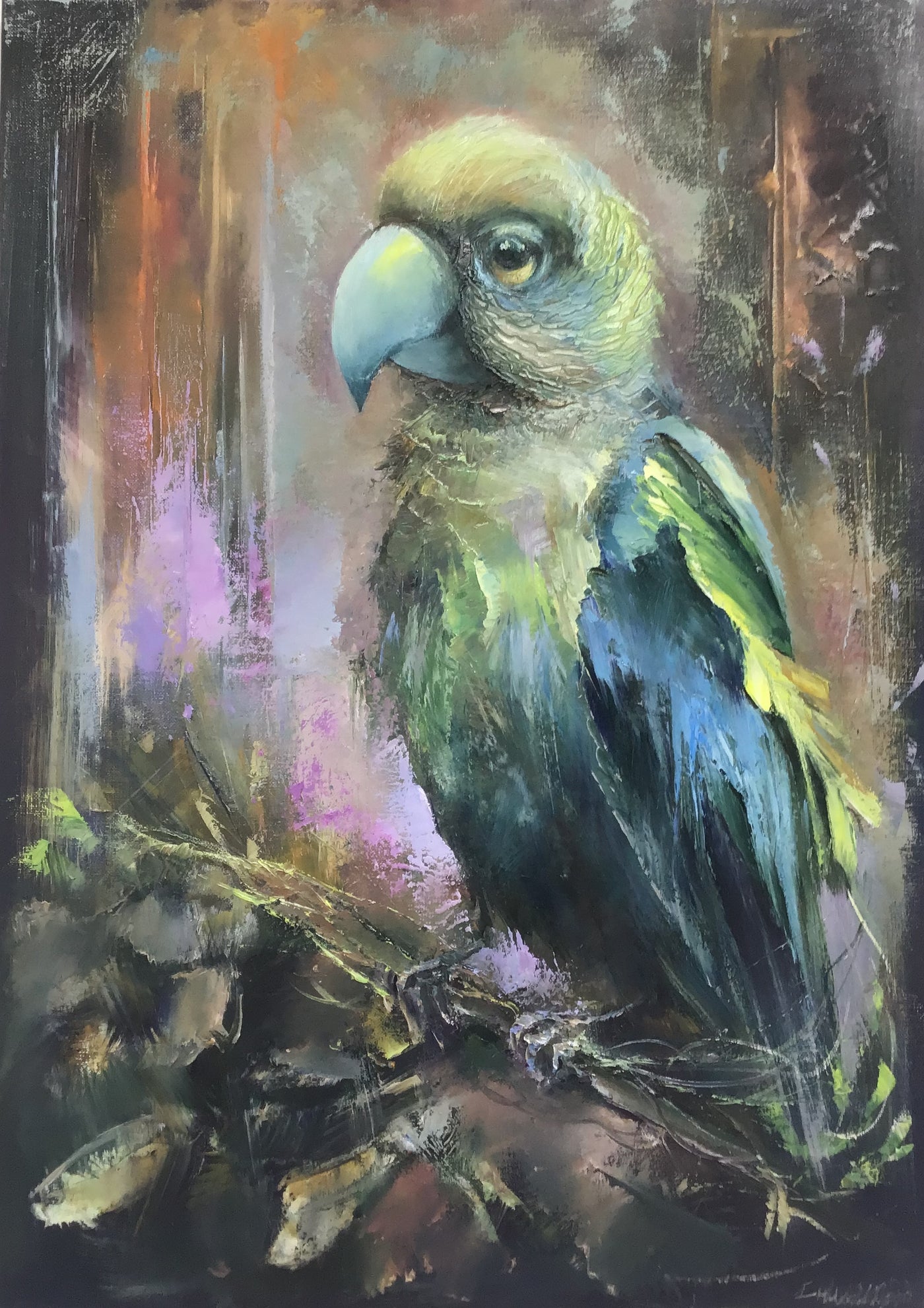 Beaky The Parrot
