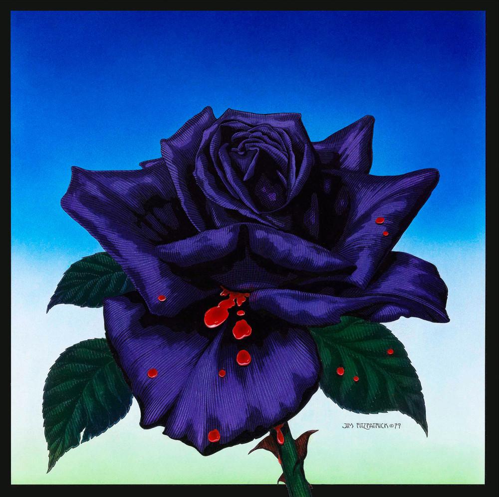 The Black Rose, Róisin Dubh