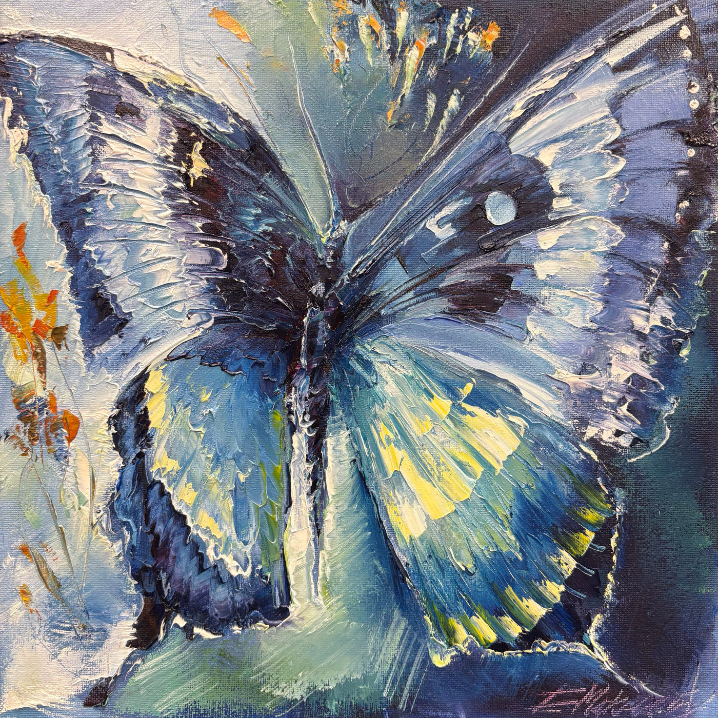 Blue Butterfly