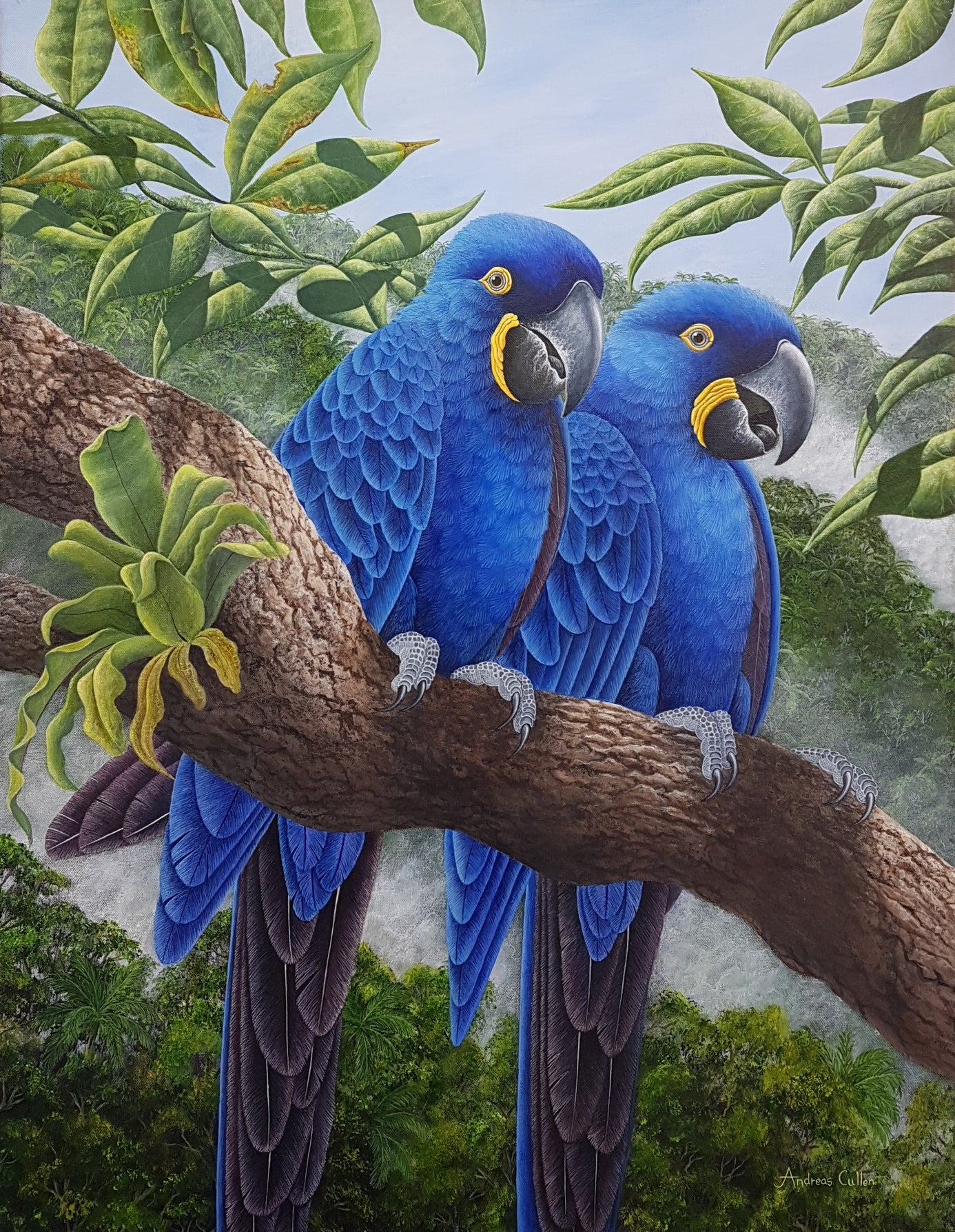 Pantanal Blues. Hyacinth Macaws Pair on Jungle Branch.