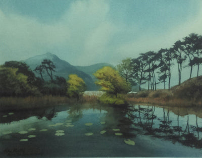 Along The Ring of Kerry by Peter Knuttel - Green Gallery