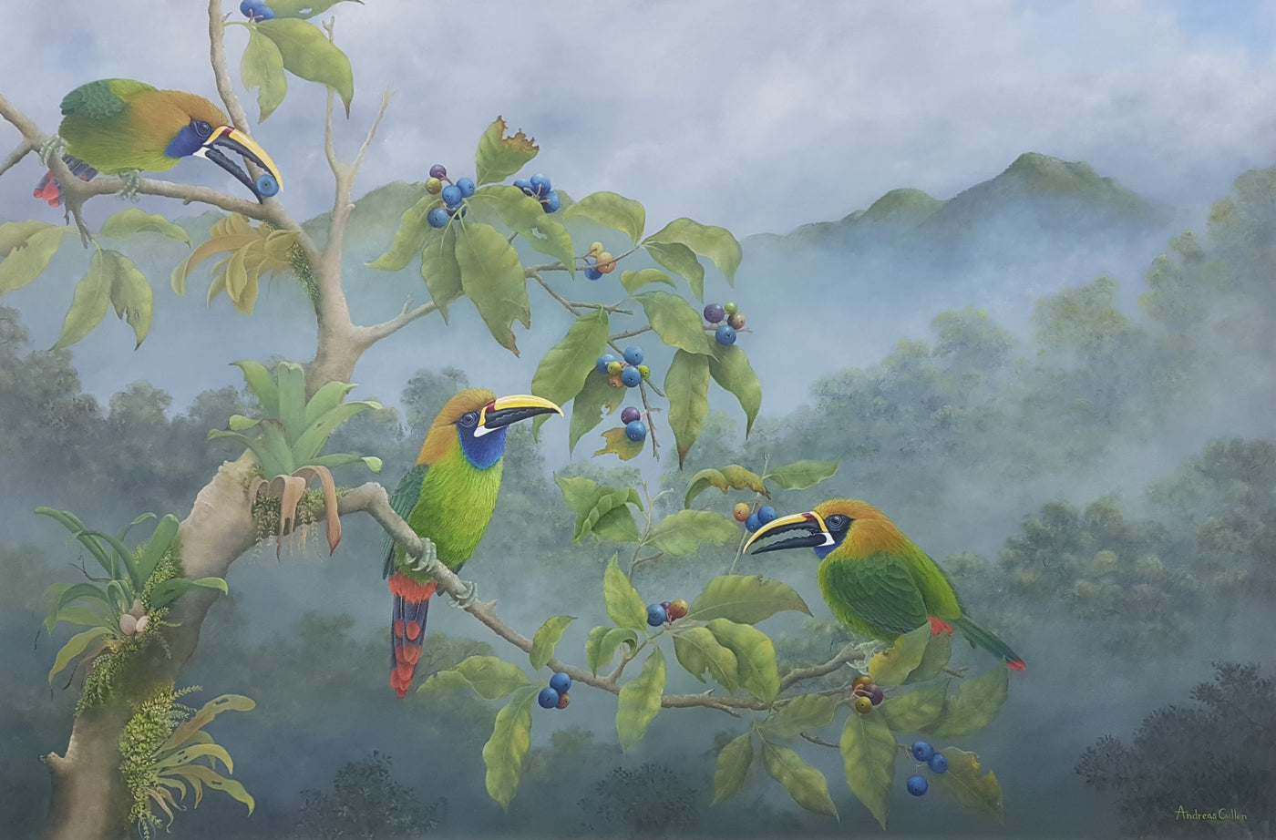 Blue Throated Toucanets