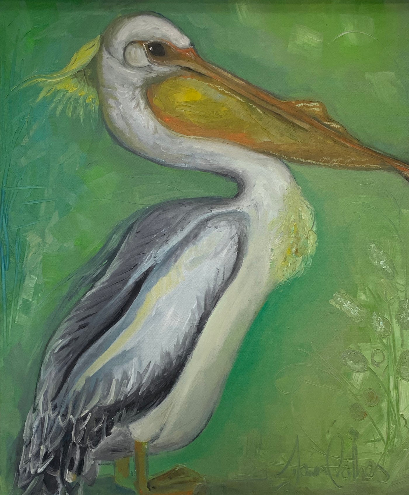 Pauleen the Pelican