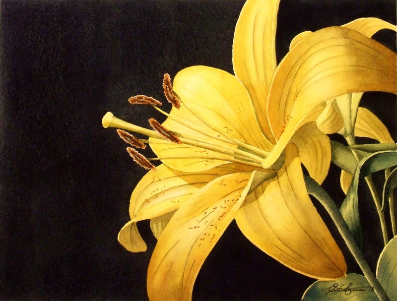 'Yellow Lilly' by Sean Curran - Green Gallery