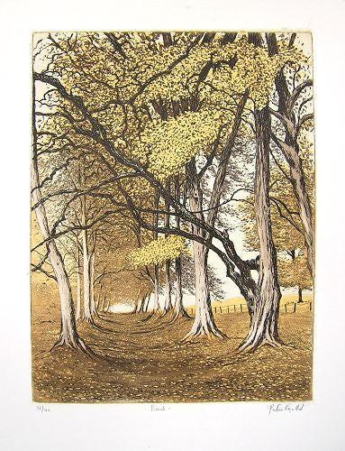 Beech - Green Gallery