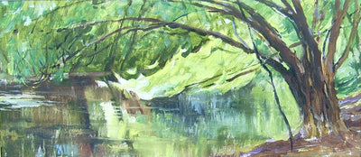 Lake In Bushy Park - Green Gallery