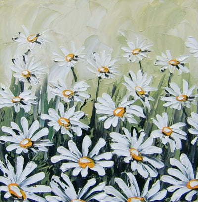 Daisies - Green Gallery