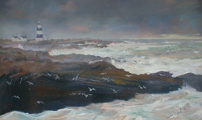 Hook Head and Lighthouse. Co. Waterford - Green Gallery