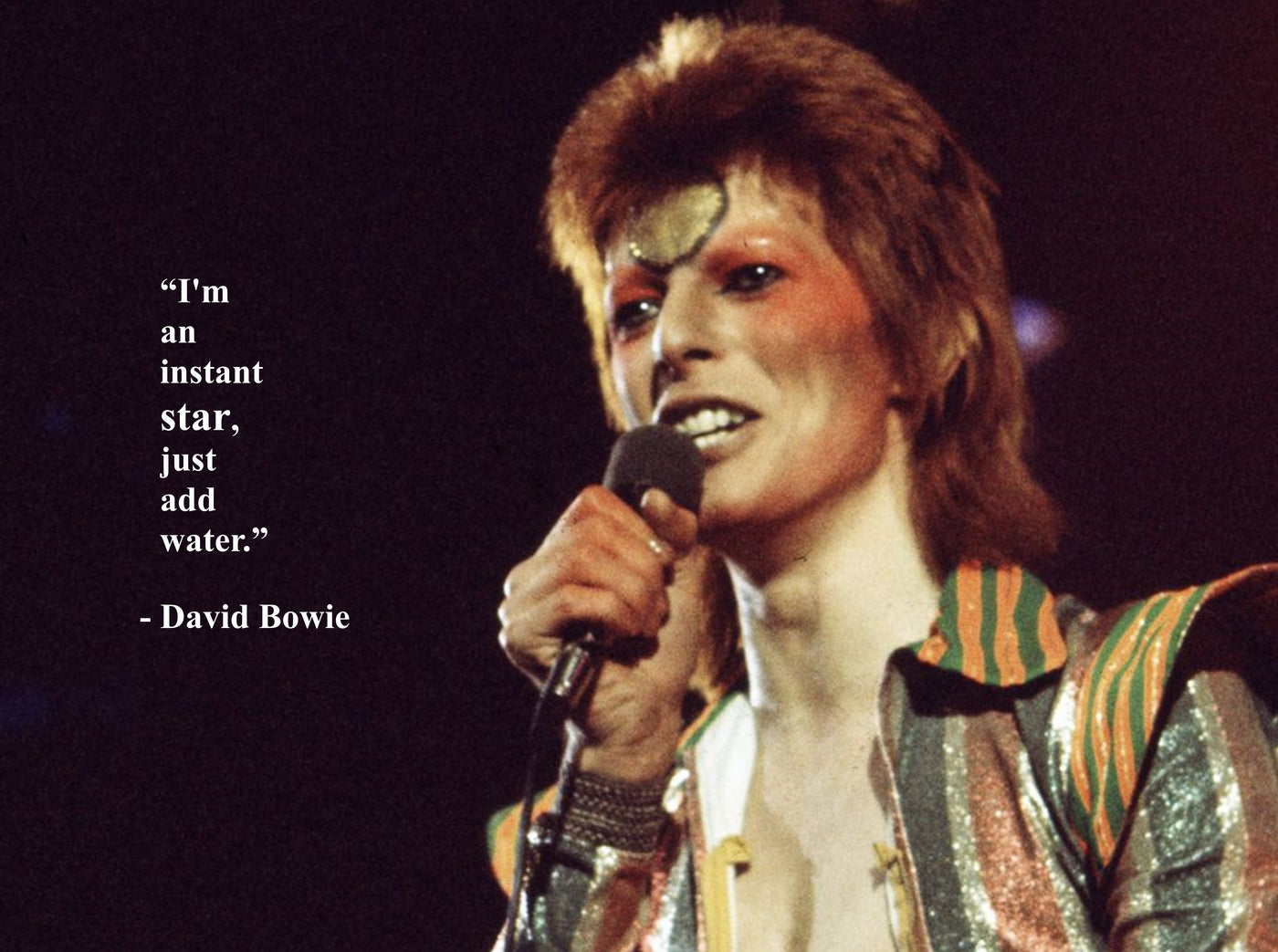 BOWIE QUOTES "I'm an instant star"
