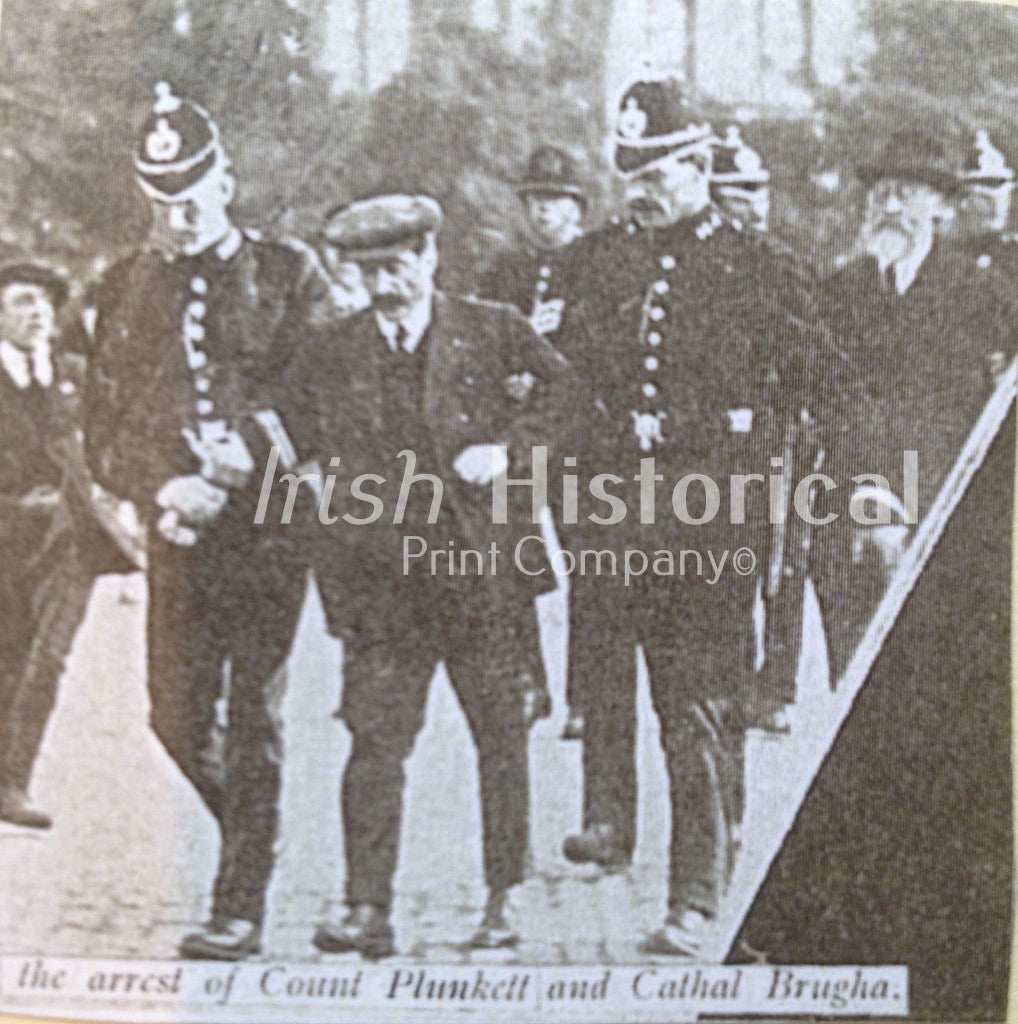 The Arrest of Count Plunkett and Cathal Brugha - Green Gallery