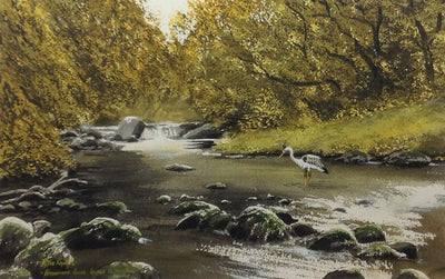 Avonmore River. Laragh, Co. Wicklow by Peter Knuttel - Green Gallery