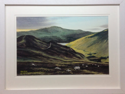 The Path To Lough Dan From Laragh , Co Wicklow by Peter Knuttel - Green Gallery