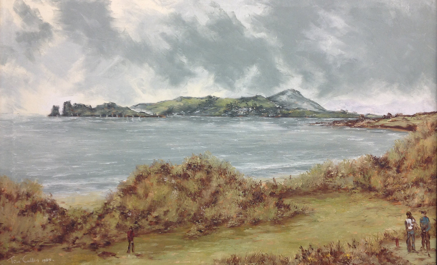 Ireland's Eye from Donabate - Green Gallery