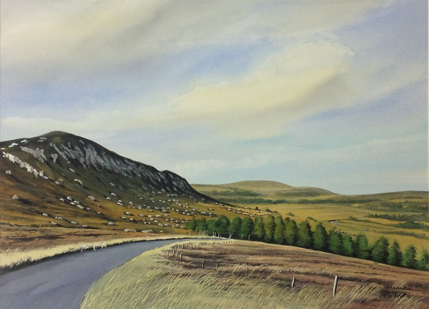 The Military Road, Co. Wicklow - Green Gallery