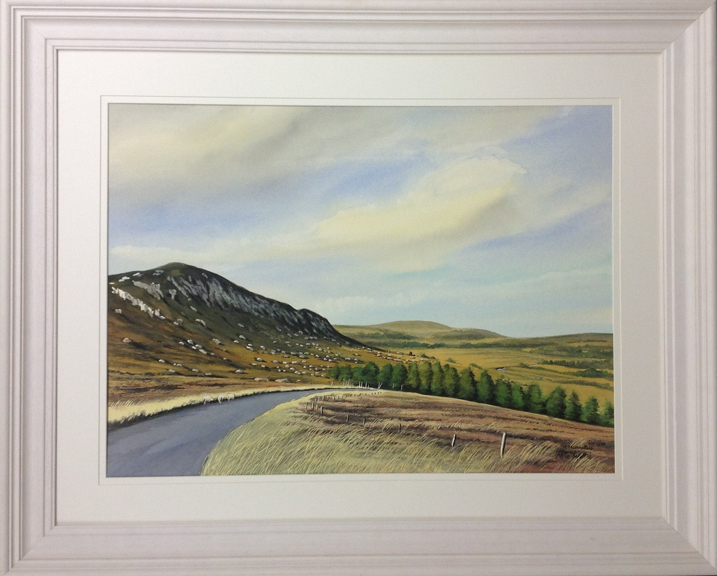 The Military Road, Co. Wicklow - Green Gallery