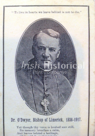 Dr. Dwyer, Bishop of Limerick 1986-1917 - Green Gallery