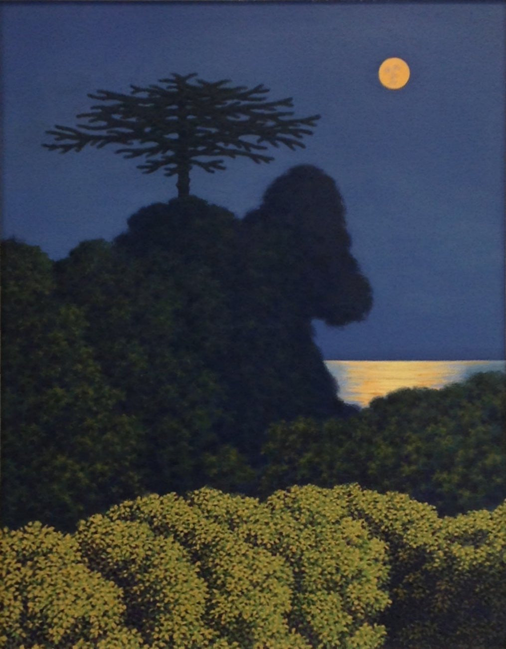Moonlight Garron Point - Green Gallery