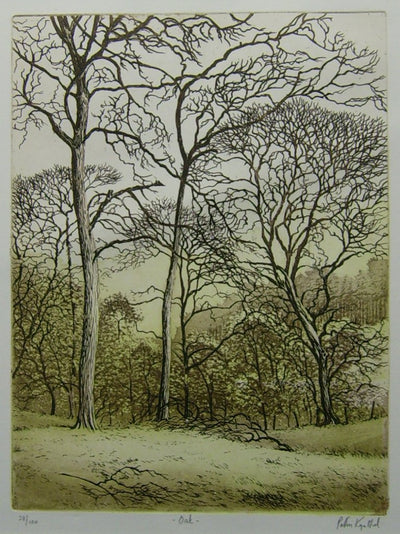 Oak by Peter Knuttel - Green Gallery
