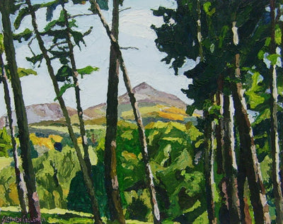 View of the Sugarloaf from Powerscourt Gardens by Stephen Cullen - Green Gallery